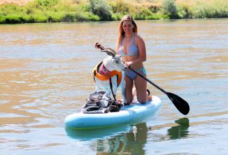 Mr. Mayhem the Paddleboarding Goat